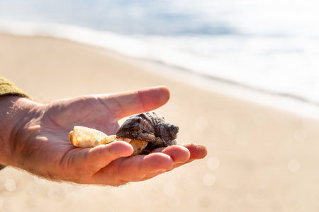 Human hand holding a seashells on a blurry seashore background.の写真素材