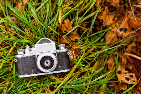 old film camera laying on a green grass in a deep forest, natural background. horizontal close up photoの写真素材