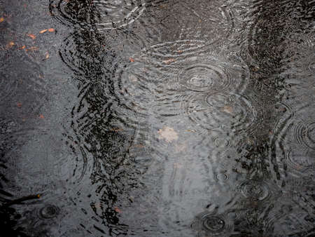 Ripple water in a rainy day. Heavy rain water drops on surface streetの写真素材