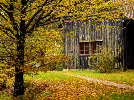 black wooden old hut on a backyard of a countryside farm in autumn golden foliage seasonの写真素材
