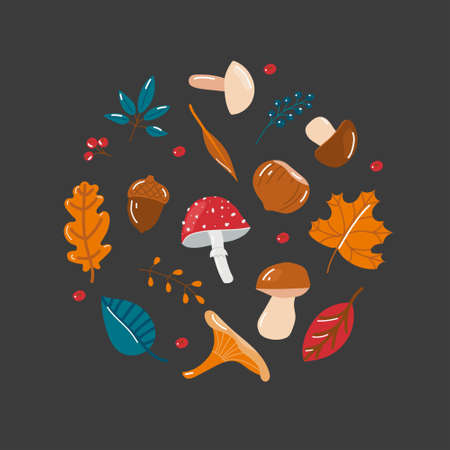 Composition of autumn leaves, berries, mushrooms and nuts. Vector flat collection in warm colors, isolated on a dark background.のイラスト素材