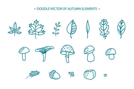 Hello autumn vector illustration with autumn elements, leaves, berries, mushrooms on a colored backgroundのイラスト素材