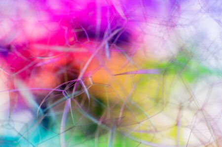 Beautiful colorful soft Abstract background of Soap bubblesの写真素材