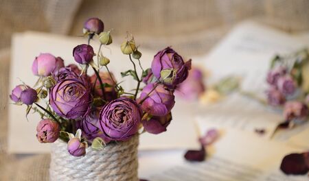 Dried natural roses, a symbol of sadness and sadnessの写真素材
