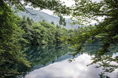 The sky is reflected in the lake among the forest