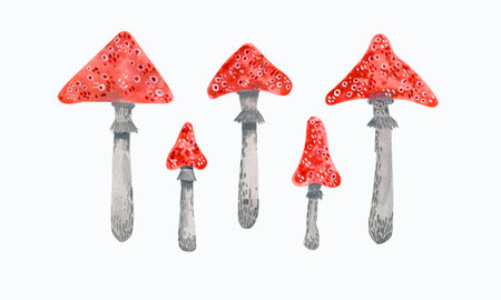 Set of watercolor mushrooms with red caps. Watercolor illustration isolated on white background. Fly agaric hand drawn.の写真素材