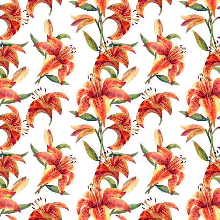 Illustrations of flowers: orange lily. Seamless pattern. Floral watercolor illustrations.の写真素材
