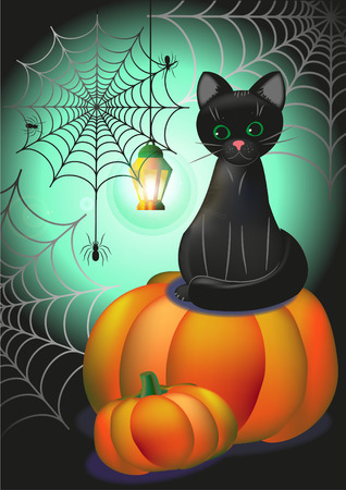 Poster with a black kitten, pumpkin, spider web and a flashlight. Vector Halloween greeting card, letter or decorationのイラスト素材
