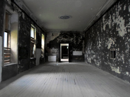 Interior of the abandoned palace in Belarus (Zheludok, Grodno region), built in the early twentieth century, example of Art Nouveau styleのeditorial素材