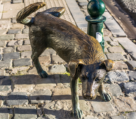 Brussels, Belgium - December 13, 2018: Het Zinneke, sometimes wrongly called Zinneke Pis - a bronze statue of peeing dog lifting his leg onto a Brussels street pole.のeditorial素材