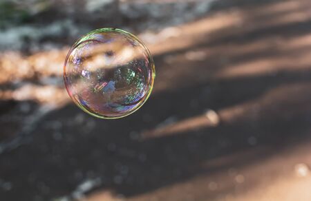 Coloured translucent soap bubble floating in the air with reflection of trees, sky and building on sunny evening. Calm background with soap bubbles closeup. Soft dreamy image.の写真素材