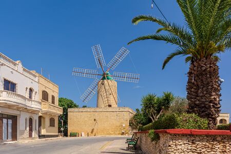 Ta' Kola Windmill and the palm in Xaghra village, in Gozo island, Malta. Windmill was built in 1725 and now became a museum. It has round central tower surrounded by a number of rooms.の写真素材