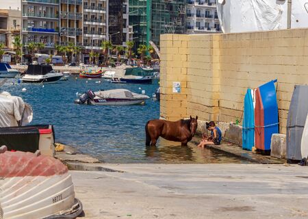 Gzira, Malta - September 4, 2019: Young people bathing horse in Mediterranean sea in Sliema Creek.のeditorial素材