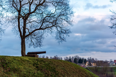 Silhouette of the cannon under the naked tree standing on a hill against dramatic cloudy evening sky. Romantic and military landscape.の写真素材