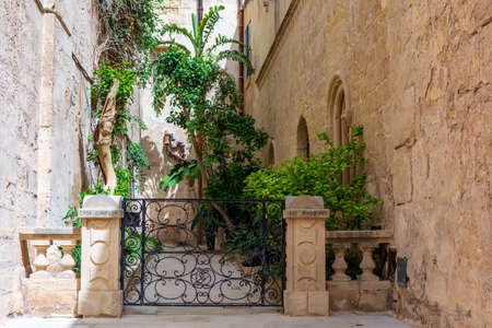 Lush green plants surrounded by limestone walls of Mdina town, Malta.の写真素材