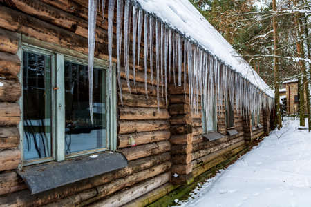 Many large sharp icicles hanging from the roof of the log-house in the snowy forest. The old hut is covered with ice in winter.の写真素材