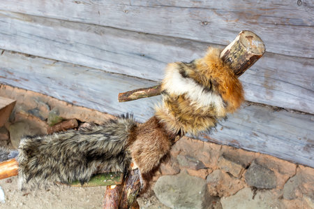 MeteÅi mumming figure symbolizing a wolf standing at a log hut. Meteni is ancient Latvian spring waiting holiday, when mummers scare the winter.の写真素材