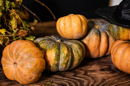 A lot of different pumpkins on the floor for the decor for the celebration of Halloween.の写真素材