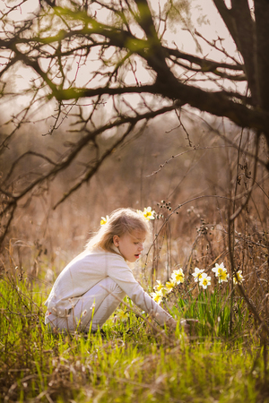 cute blonde happy little girl with yellow daffodils in the spring country.の写真素材