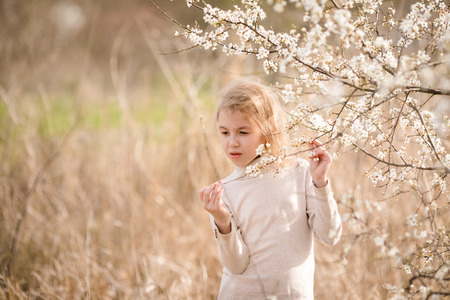 Blonde girl in the blossom garden. Spring background with white flower.の写真素材