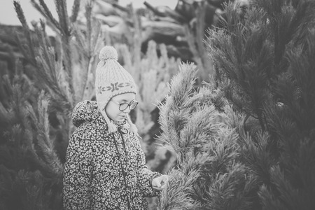 Girl with big glasses and gray and purple hat looking at green christmas tree. Black and white.の写真素材
