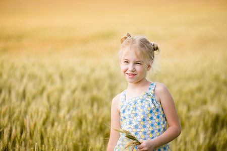 Cute little girl on the field of rye.の写真素材