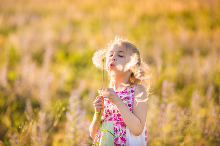 The portrait of blonde girl with big dandellion in the blossom field on the sunset.の写真素材