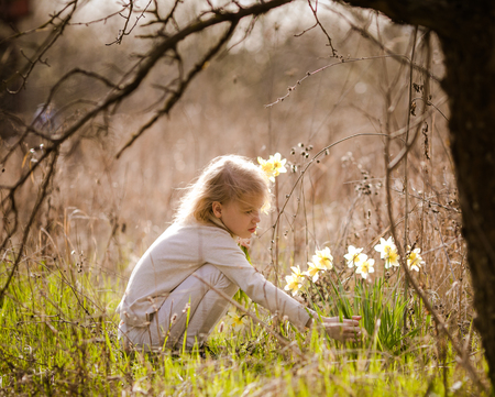 cute blonde happy little girl with yellow daffodils in the spring country.の写真素材