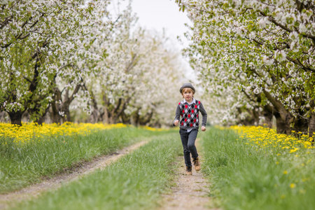 Little blonde boy in gray hat running in blooming apple and cherry garden. Warm springtime and mothers and woman day.の写真素材
