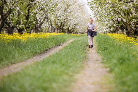 Little blonde girl running in blooming apple and cherry garden. Warm springtime and mothers and woman day.の写真素材
