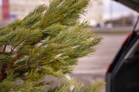 Young child choosing and decorating a Christmas tree.