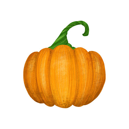 Halloween pumpkin color seamless pattern. Hand drawn doodle cartoon elements of Halloween celebration isolated on white background.の写真素材