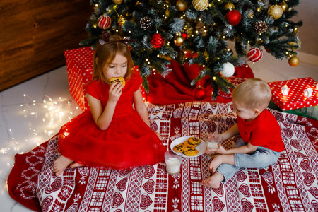Little children in red outfits are drinking milk and eating cookies under the Christmas tree.の写真素材