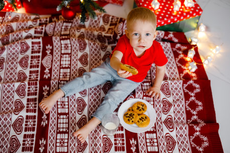 A little boy in a red top is sipping milk and munching on cookies under the Christmas tree.の写真素材