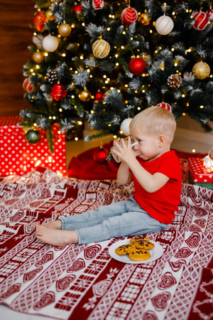 A little boy in a red top is sipping milk and munching on cookies under the Christmas tree.の写真素材