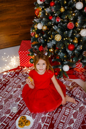 A blonde girl in a fancy red dress drinks milk and eats cookies under the Christmas tree.の写真素材