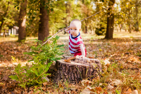 Sweet baby boy playing in autumn parkの写真素材
