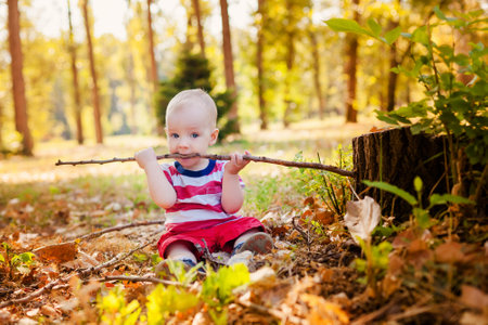 Sweet baby boy playing in autumn parkの写真素材