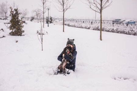 A teenage girl walking her dog outside in winter, throwing snowballs at her. Spaniel runs with flapping ears in the snow and plays.の写真素材