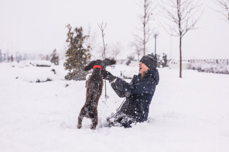A teenage girl walking her dog outside in winter, throwing snowballs at her. Russian spaniel runs with flapping ears in the snow and plays.の写真素材