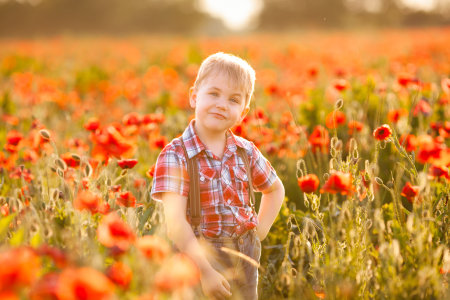 A little boy plays in the field, exploring the plants.の写真素材