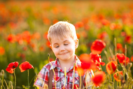 A young boy is playing in a field, discovering different plants.の写真素材