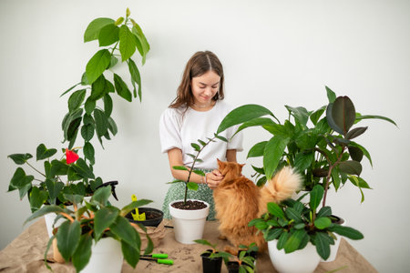 Woman gardeners taking care and transplanting plant a into a new white pot on the wooden table. Home gardening, love of houseplants, freelance. Spring time. Stylish interior with a lot of plants.の写真素材