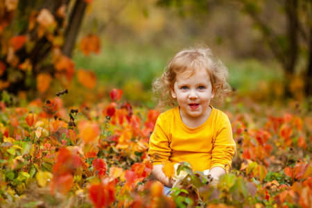 Toddler girl with curly hair in a yellow shirt playing in an autumn park.の写真素材