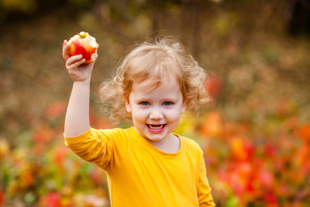 Joyful toddler girl with curls in a yellow shirt in fall park with apple.の写真素材
