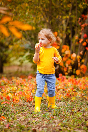 Joyful toddler girl with curls in a yellow shirt in fall park.の写真素材