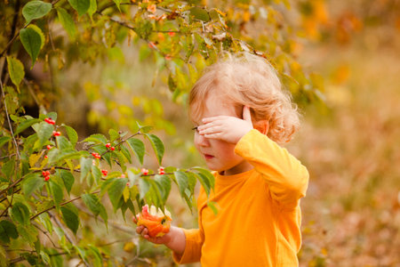 Joyful toddler girl with curls in a yellow shirt in fall park with apple.の写真素材