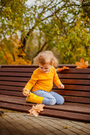 Toddler girl with curly hair in a yellow shirt playing in an autumn park.の写真素材