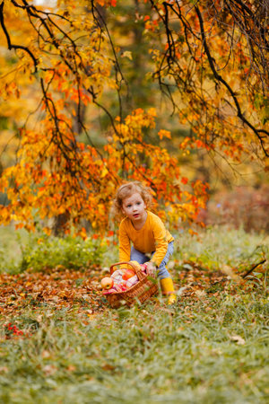 Three-year-old girl having breakfast in autumn park, drinking tea from a cup with a basket of food and fruit nearbyの写真素材