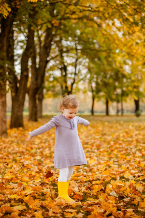 Toddler girl in purple dress, white tights, and yellow rubber boots playing happily with leaves in autumn park.の写真素材